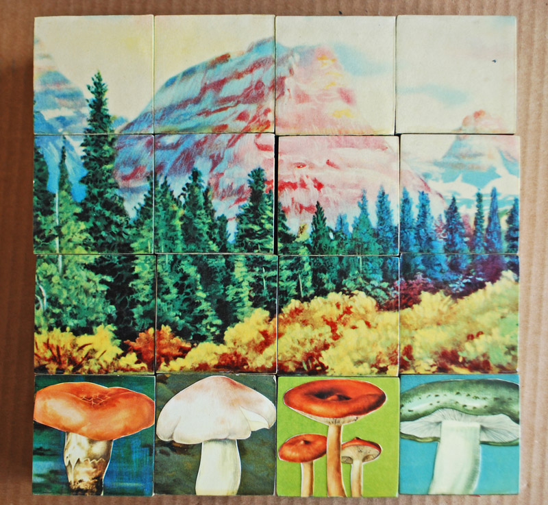 collage